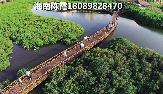 醉近万瑞尚成房价下跌了吗，海南房价是否会降