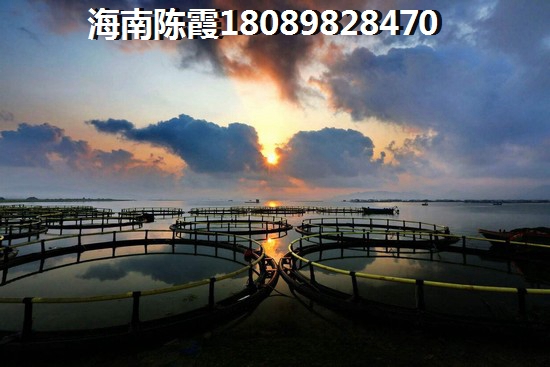南海之滨房价2025什么价格？
