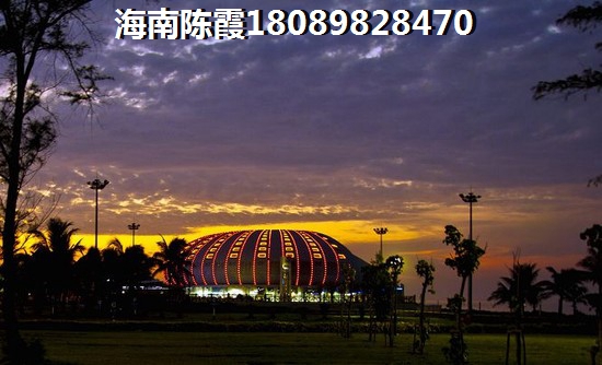 新世界花园度假村悦江庭纸得touzi吗？