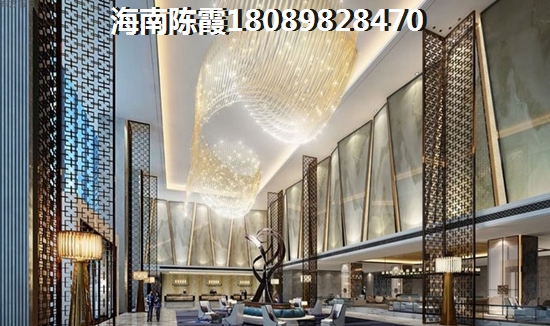 海南省东方市房地产限购政策