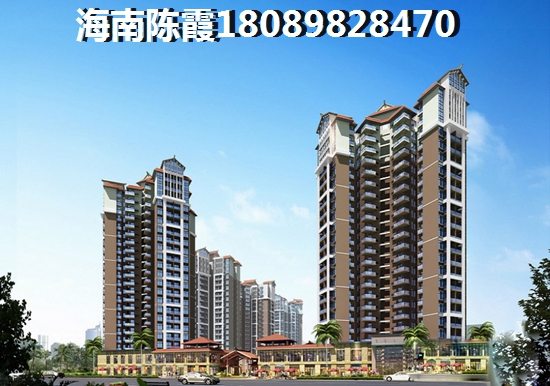 coy是什么意思