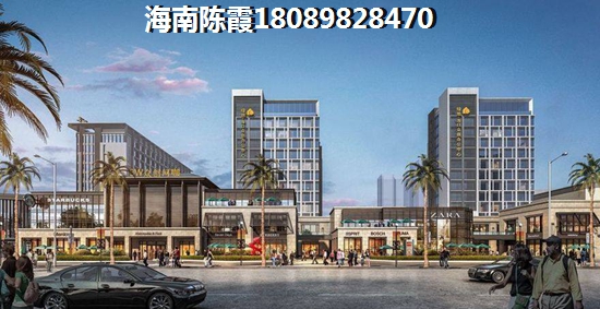 为什么定安如意·竹苑的房价如此之高？它究竟有何独特魅力吸引如此多的关注？